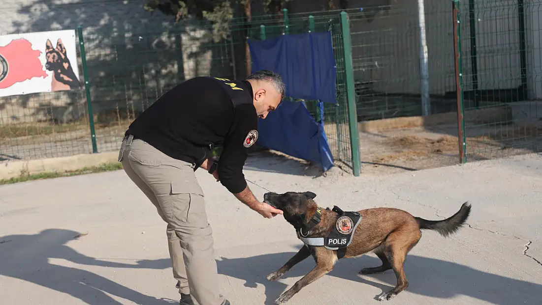 “Bulunmaz” denilen zulalar Konya’daki bu burunlardan kaçamıyor