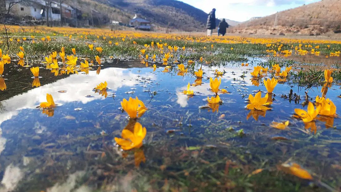 Konya'da bahar havası esiyor!