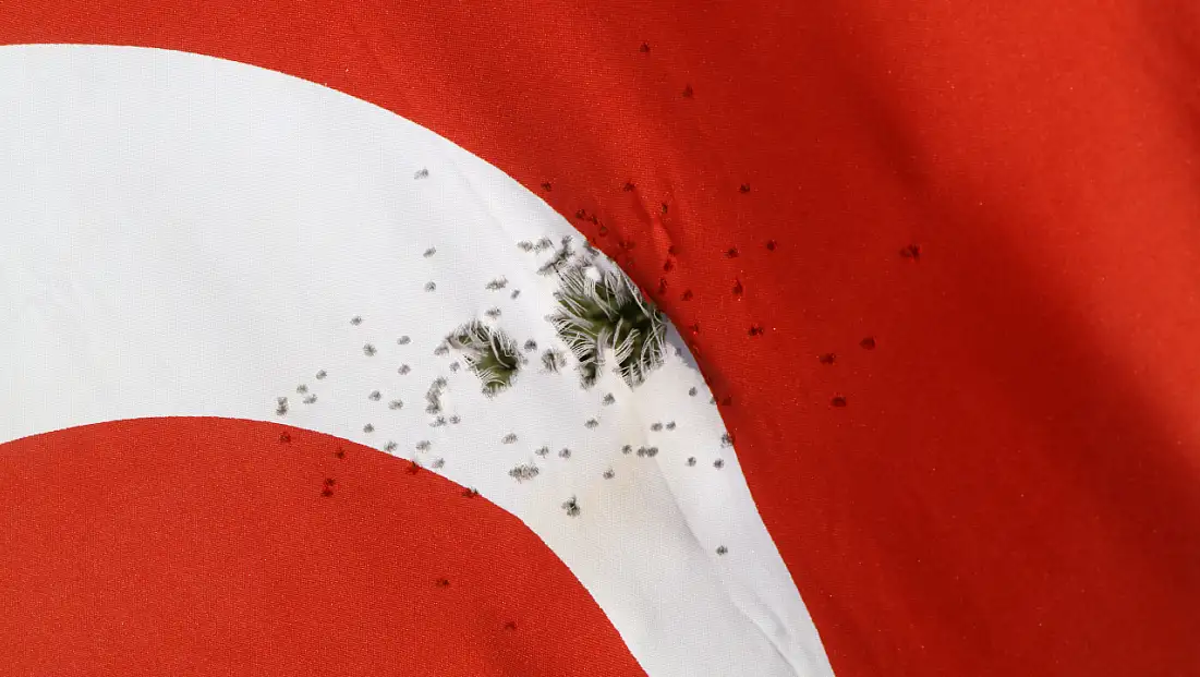 Türk bayrağına çirkin saldırı! Av tüfeğiyle ateş ettiler