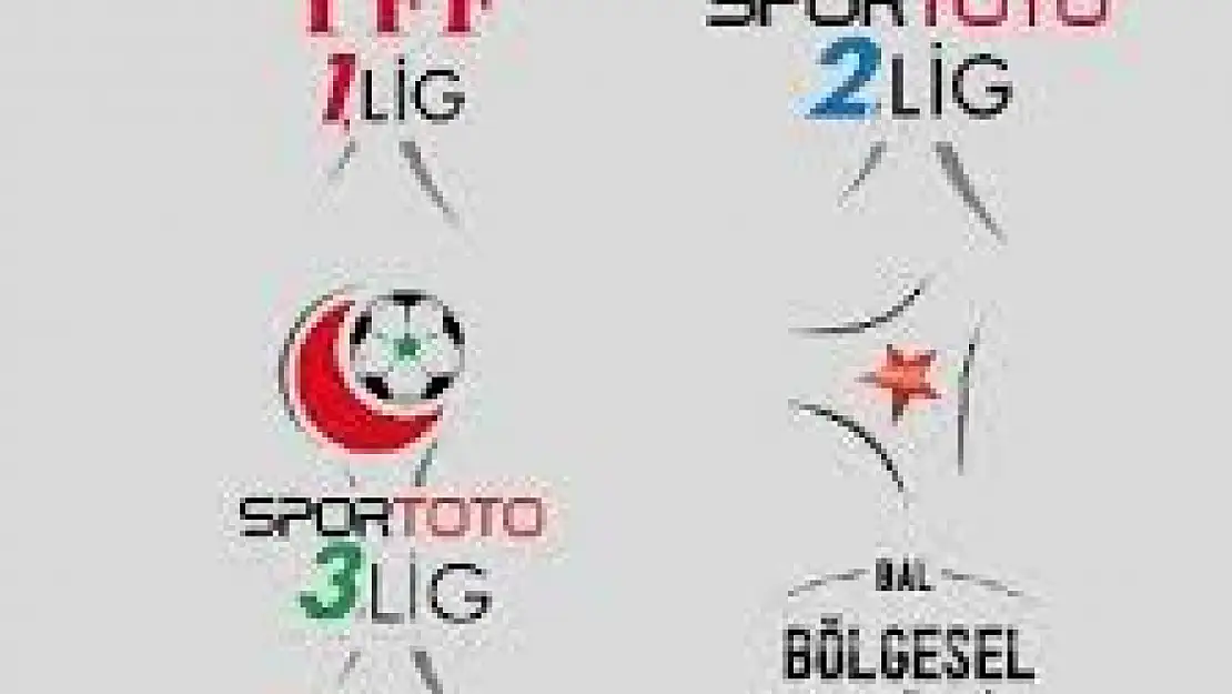 2024-2025 Sezonu Profesyonel Liglerde En Yüksek Seyirci Ortalamalarına Sahip Takımlar
