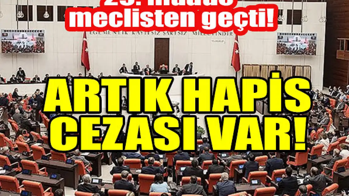 29. madde meclisten geçti! Artık hapis cezası var!