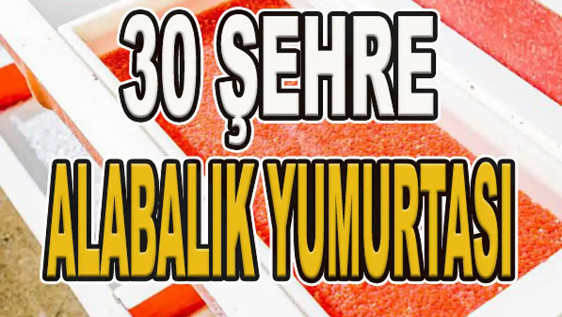 30 şehre alabalık yumurtası