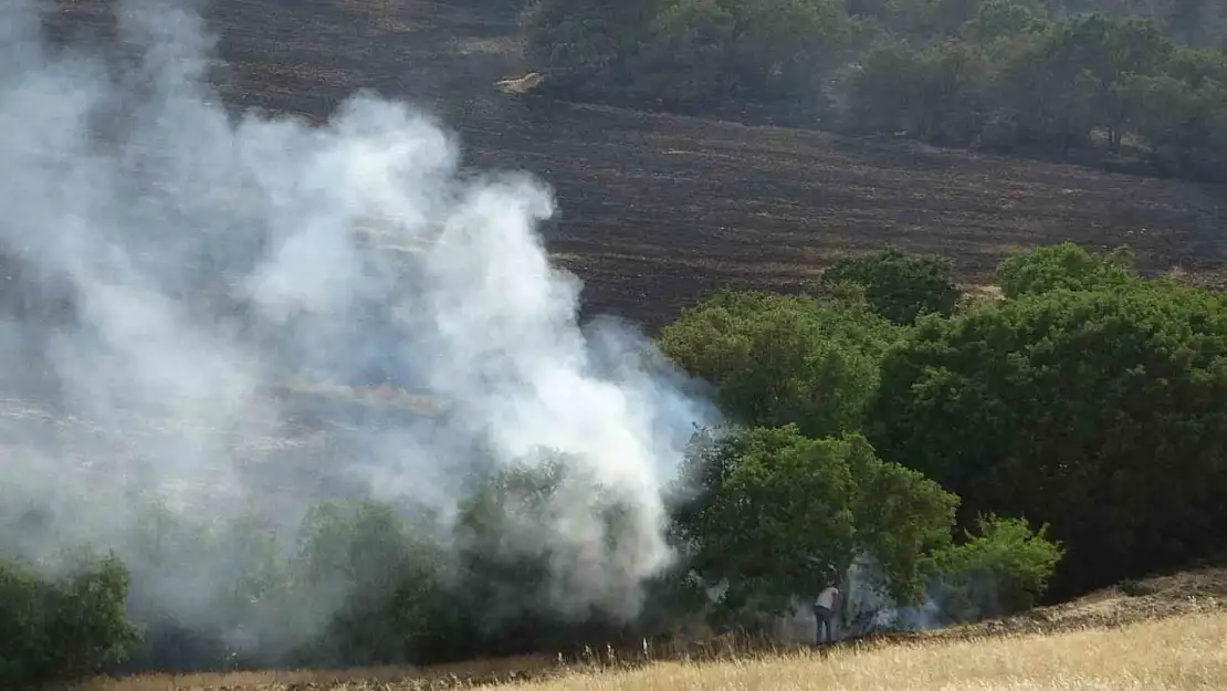 4 hektarlık makilik alan yandı