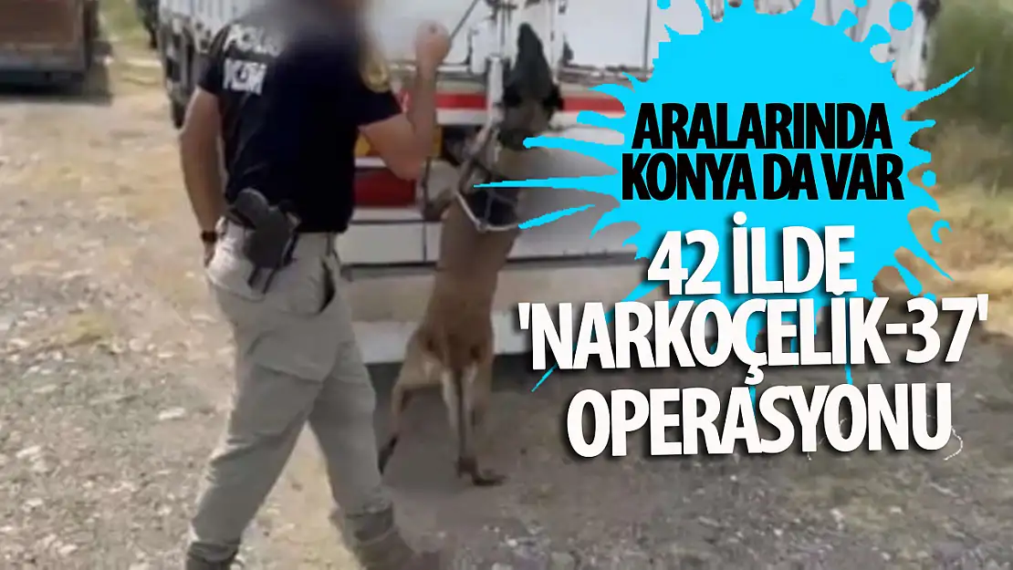 42 ilde 'Narkoçelik-37' operasyonu: Aralarında Konya da var!