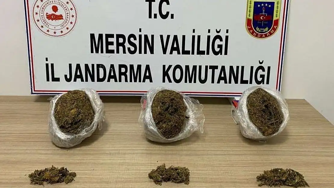 5 kilo 200 gram skunk esrar  yakalandı