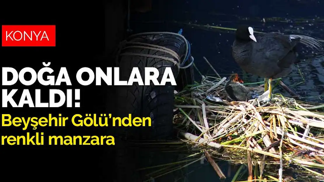 Doğa onlara kaldı! Beyşehir Gölü'nden renkli manzara