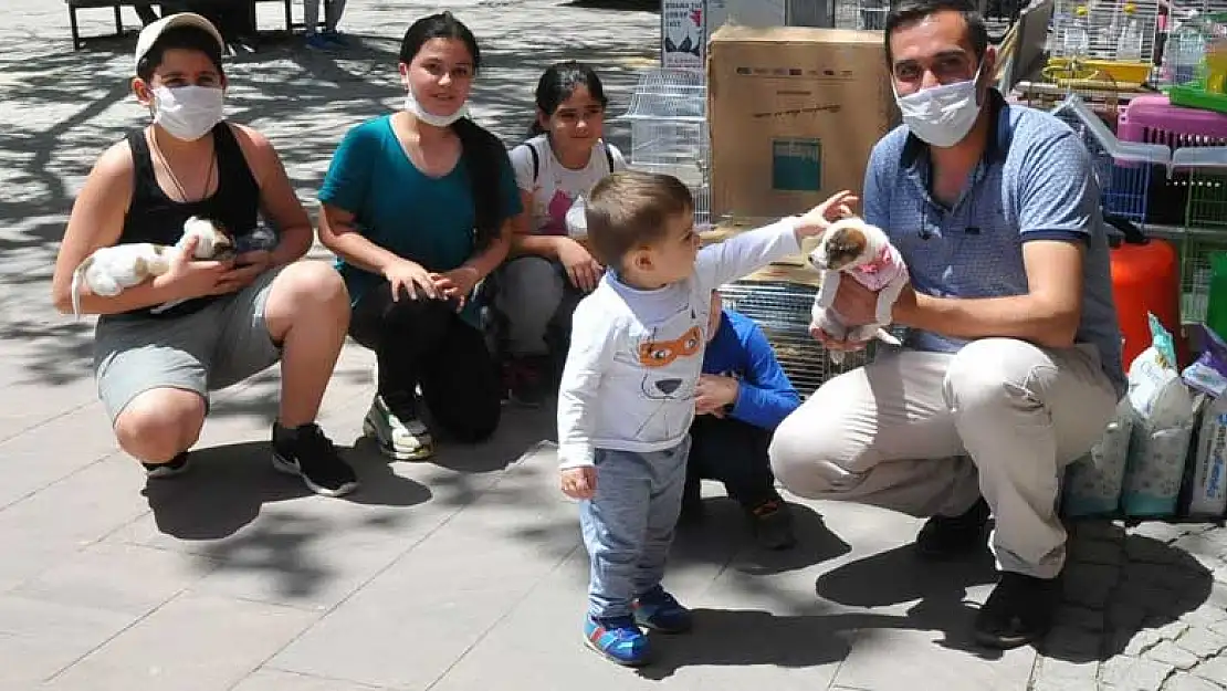 Konya Akşehir'in parkları çocuk cıvıltılarıyla doldu