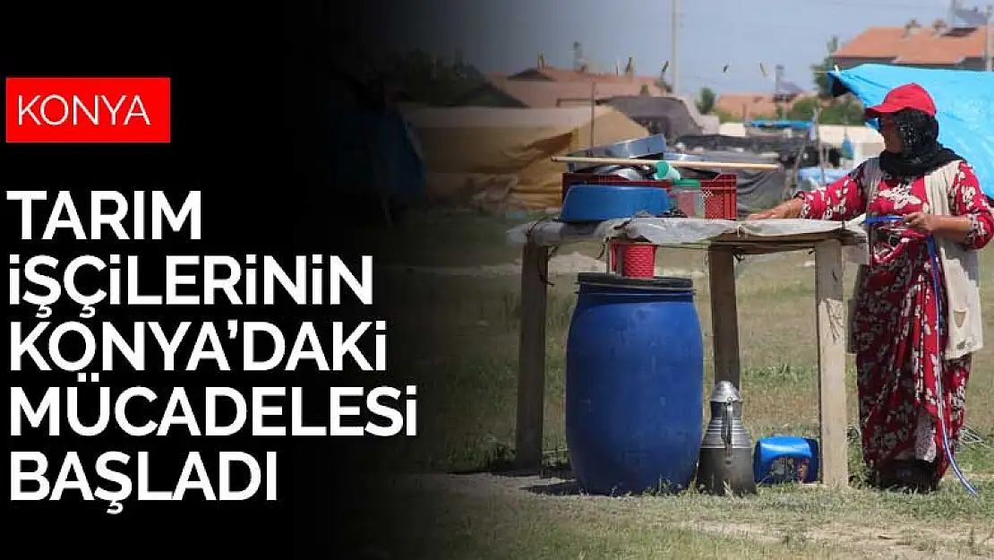 Doğu ve Güneydoğu'dan Konya'ya gelen tarım işçilerinin mücadelesi başladı