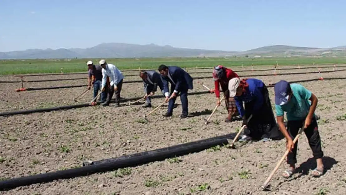 Konya Yalıhüyük Kaymakamı Kılınç çiftçilerle çapa yaptı