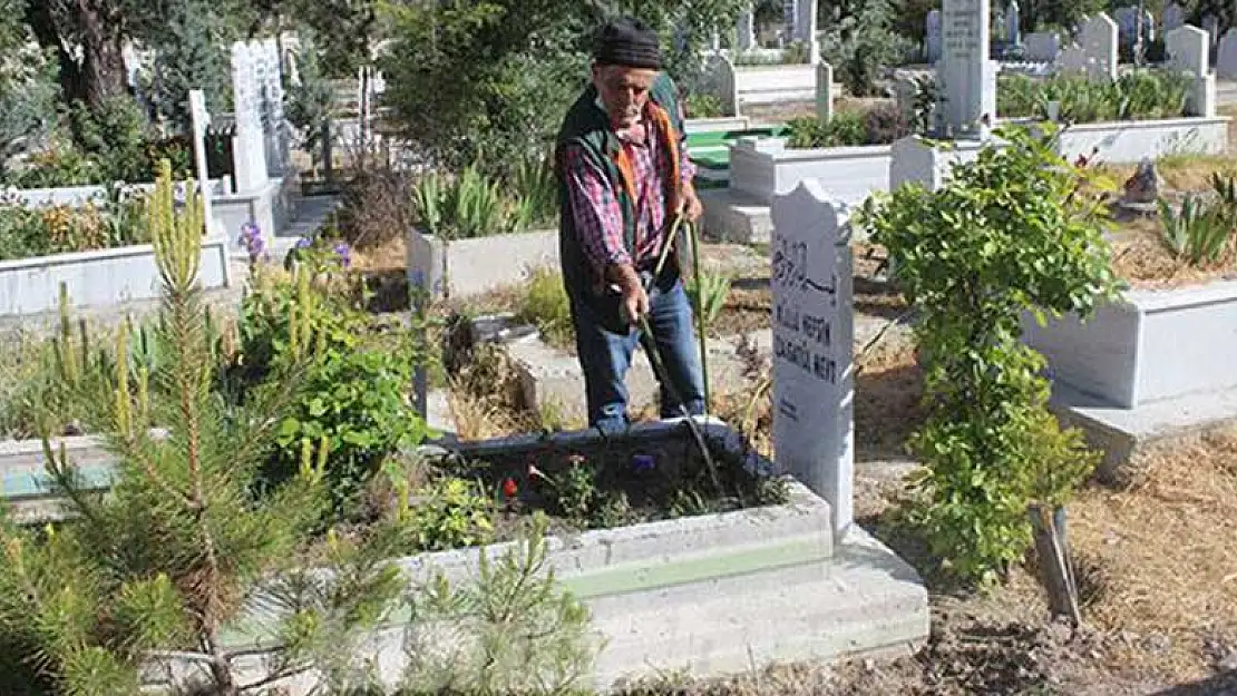 Konya bunu da gördü! Karapınar'da mezarlıktan ağaç hırsızlığı