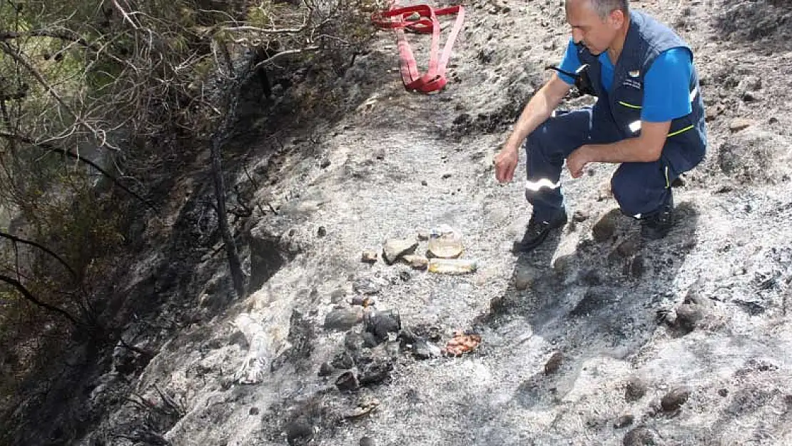 Antalya'da karnını doyurmak isteyen şahıs ormanı yaktı