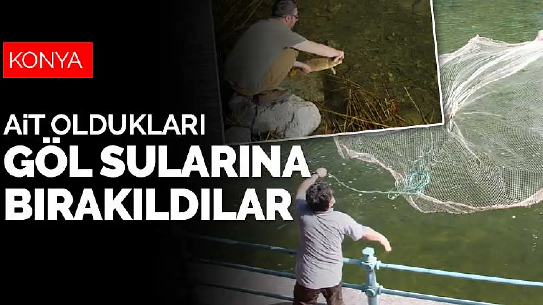 Konya'da sulama kanalında kalan balıklar Beyşehir Gölü'ne bırakıldı