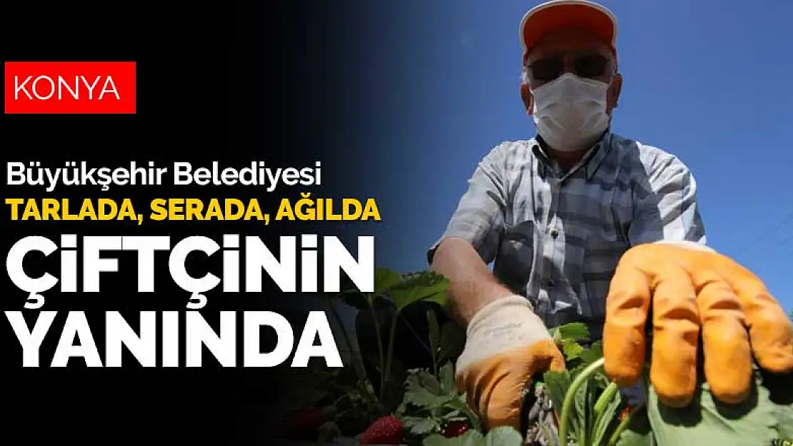 Konya Büyükşehir Belediyesi tarlada, serada, ağılda çiftçinin yanında