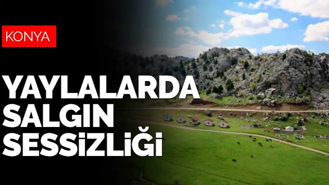 Konya'nın yaylalarında salgın sessizliği