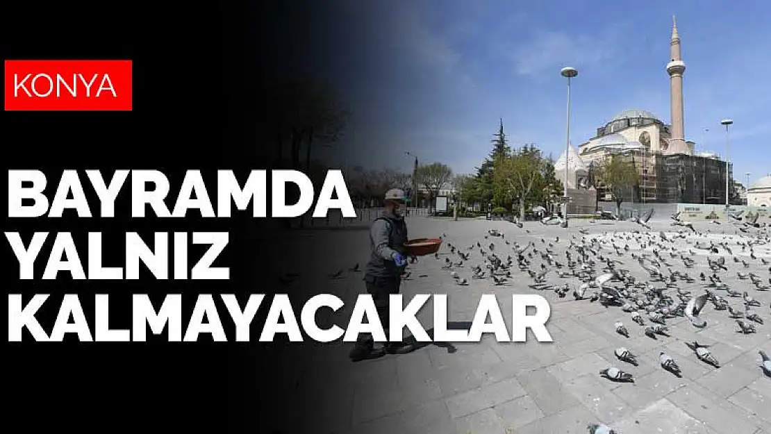 Sokak hayvanları bayramda da yalnız kalmayacak