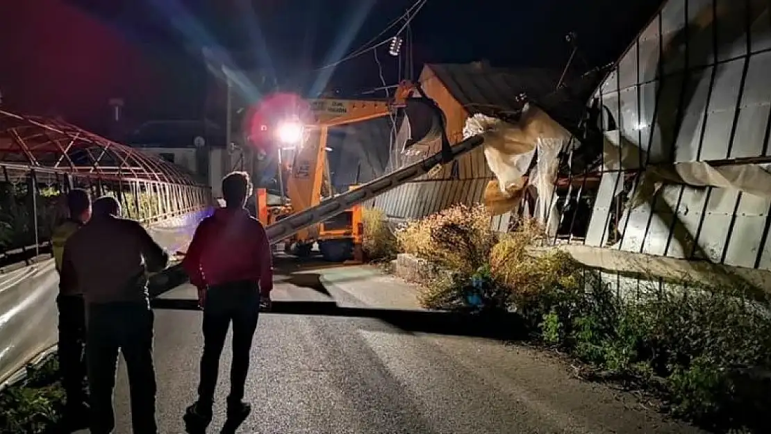 Antalya'da ağaçlar söküldü direkler devrildi! Kabus gibi gece