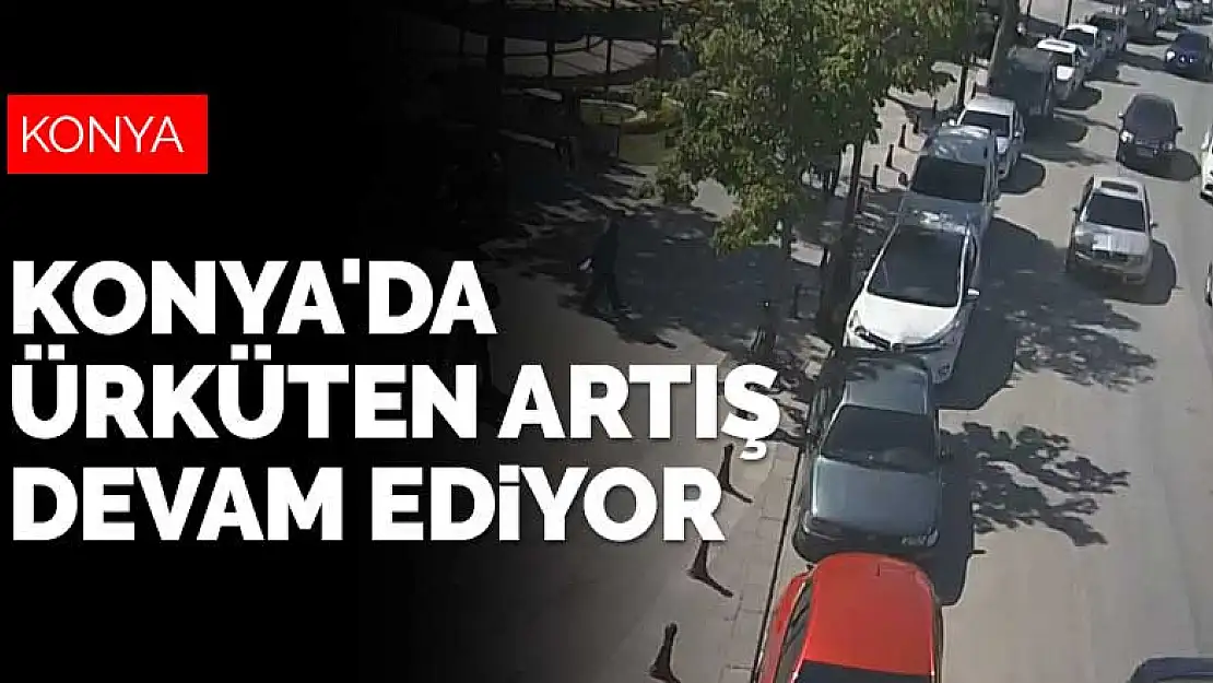 Konya'da ürküten artış devam ediyor