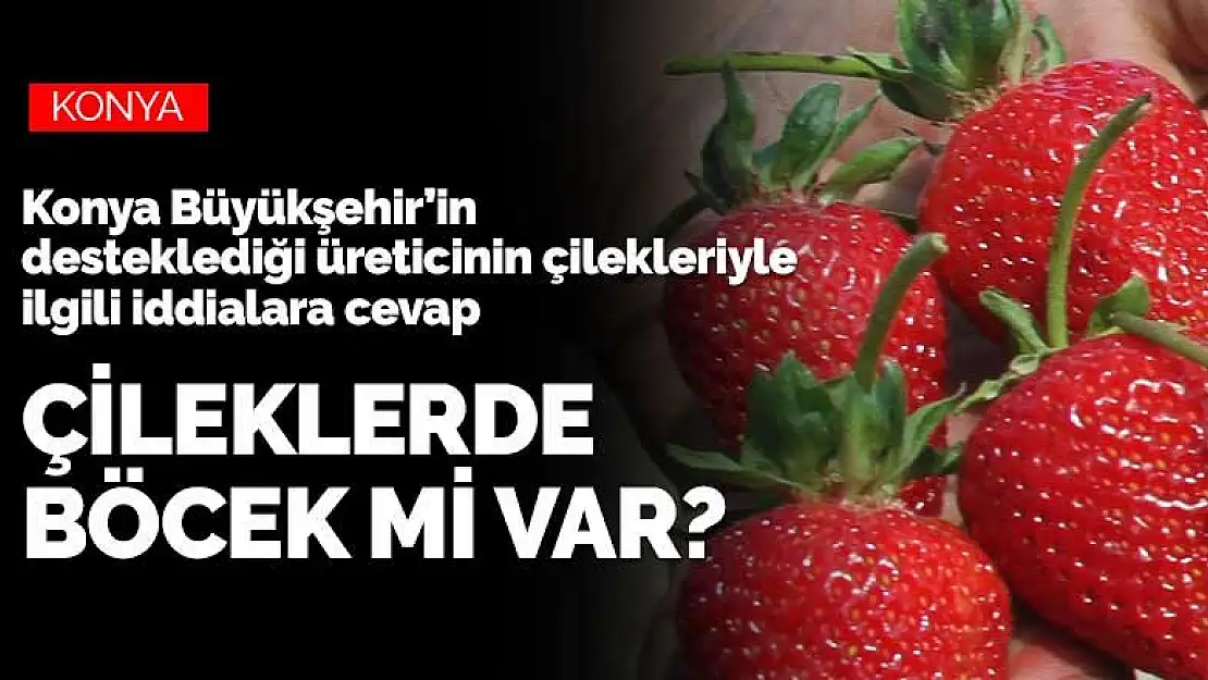 Konya'nın çileklerinde böcek var mı?