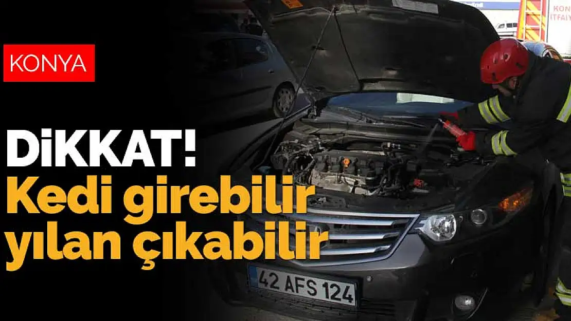 Dikkat kedi girebilir yılan çıkabilir! Yer: Konya