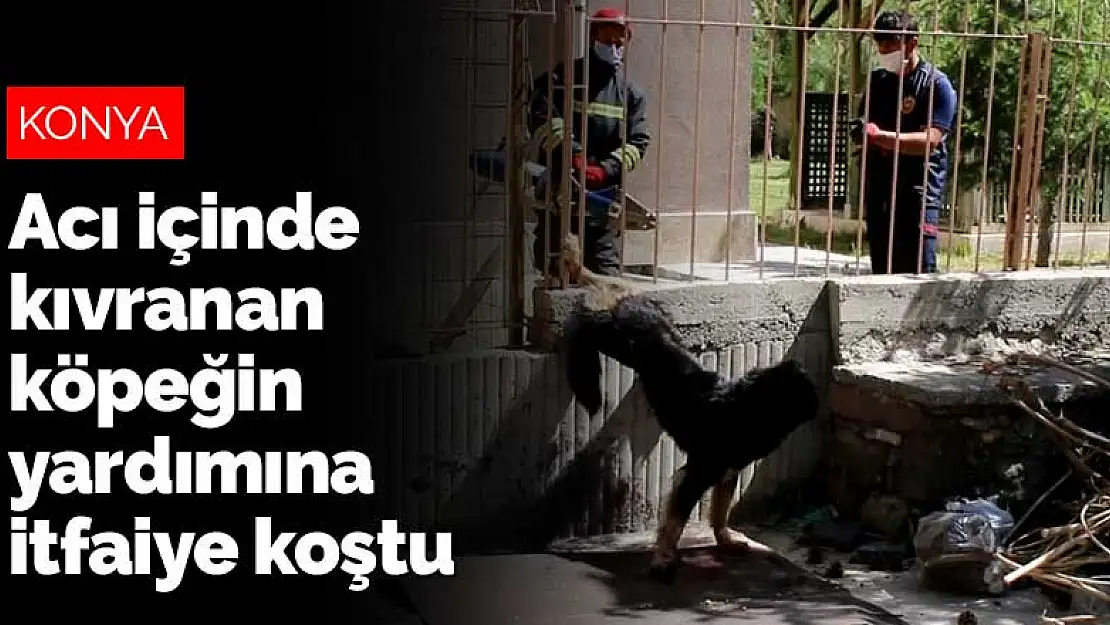 Konya'da acı içinde kıvranan köpeğin yardımına itfaiye koştu