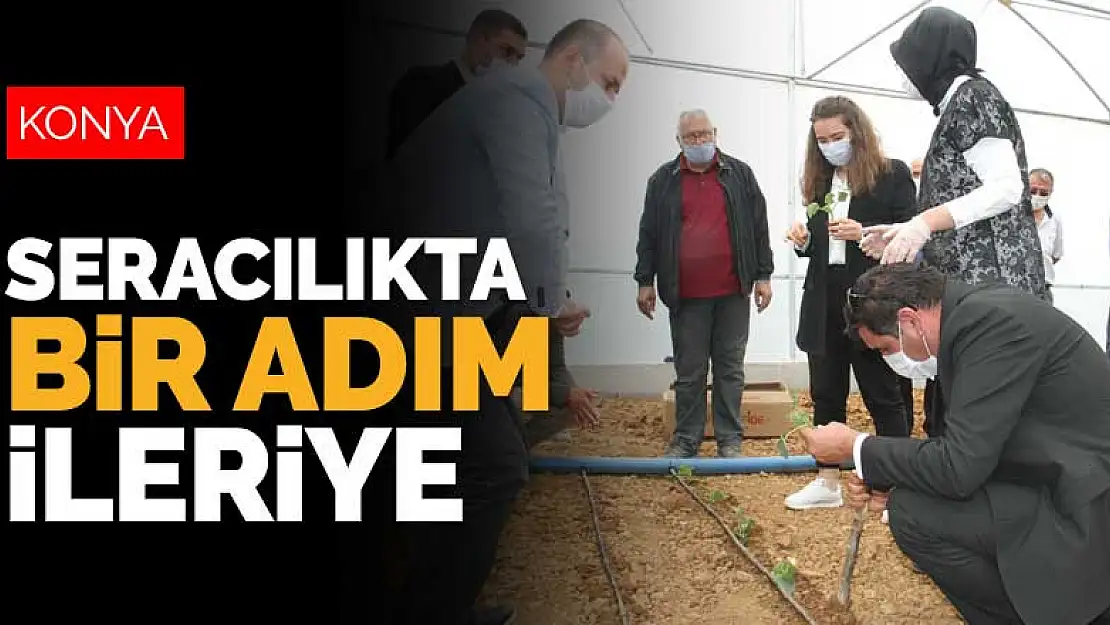 Tahıl ambarı Konya seracılıkta da bir adım öne çıkacak