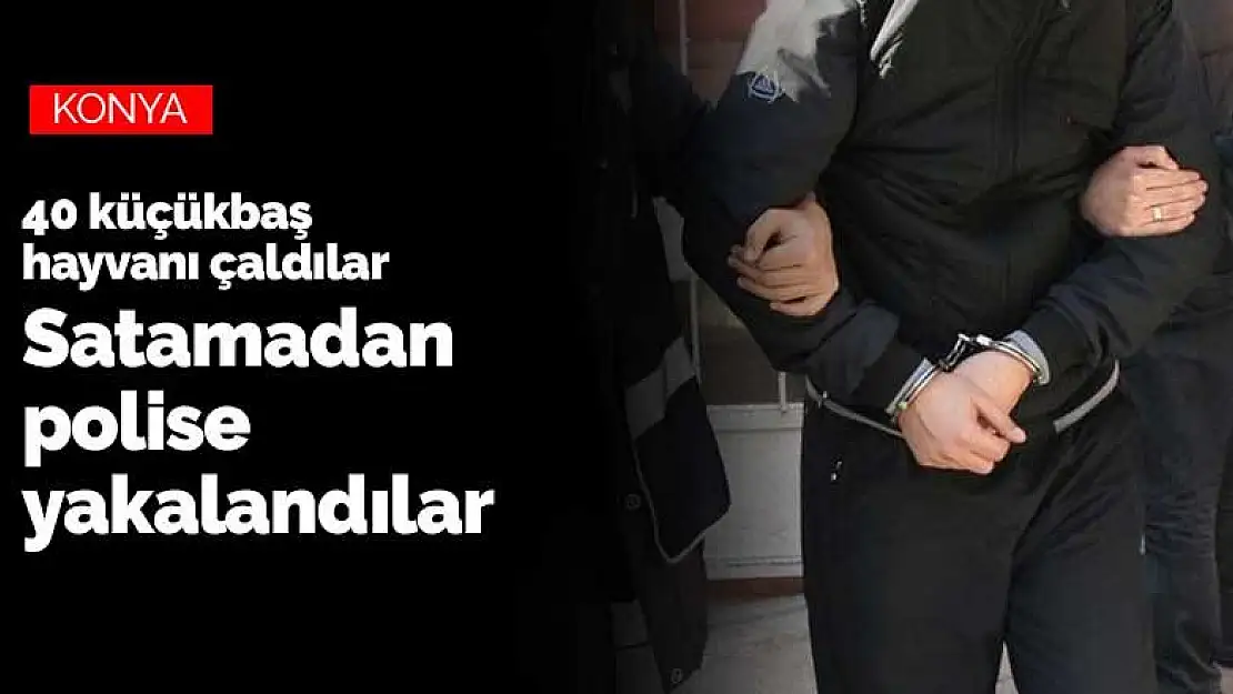 40 küçükbaş hayvanı çaldılar satamadan yakalandılar! Olayın adresi Konya Kadınhanı