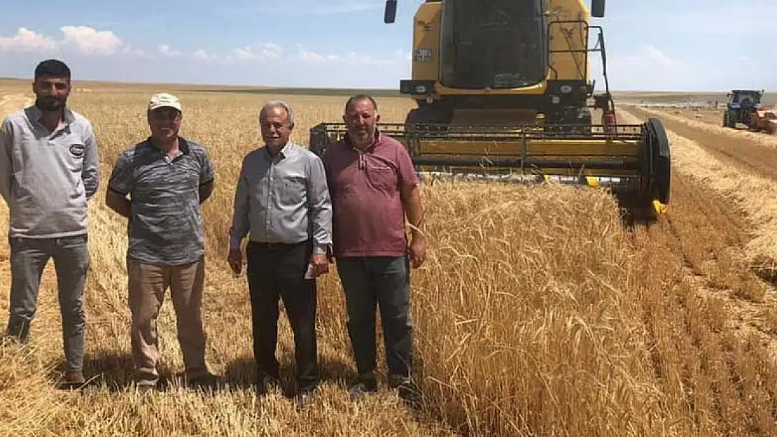 Konya'da Tuz Gölü kıyısında arpa hasadı başladı