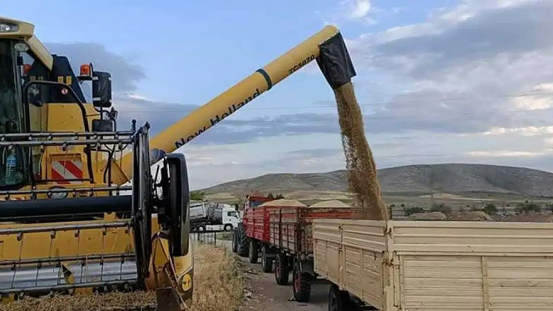 Arpa hasadı başlayan Konya Yunak'ta bu yıl verim arttı