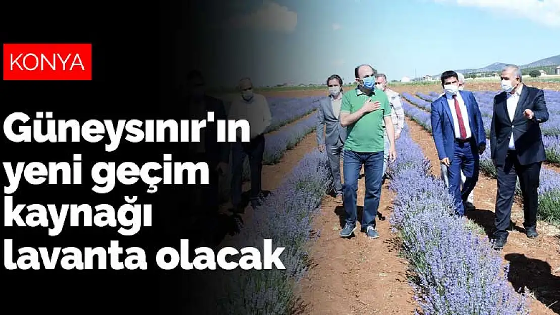 Konya Güneysınır'ın yeni geçim kaynağı lavanta olacak