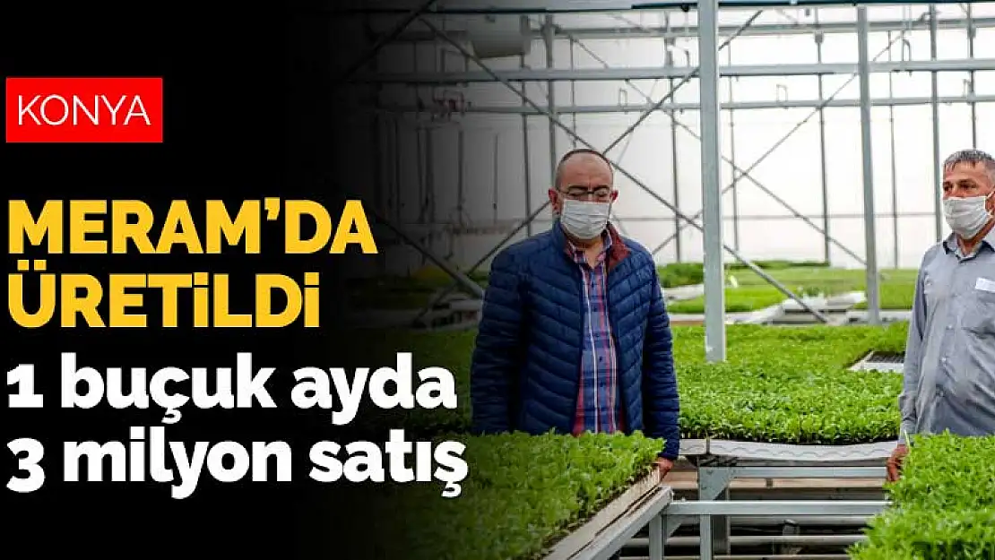 Meram'da üretilen fidelerden 1 buçuk ayda 3 milyon satış yapıldı