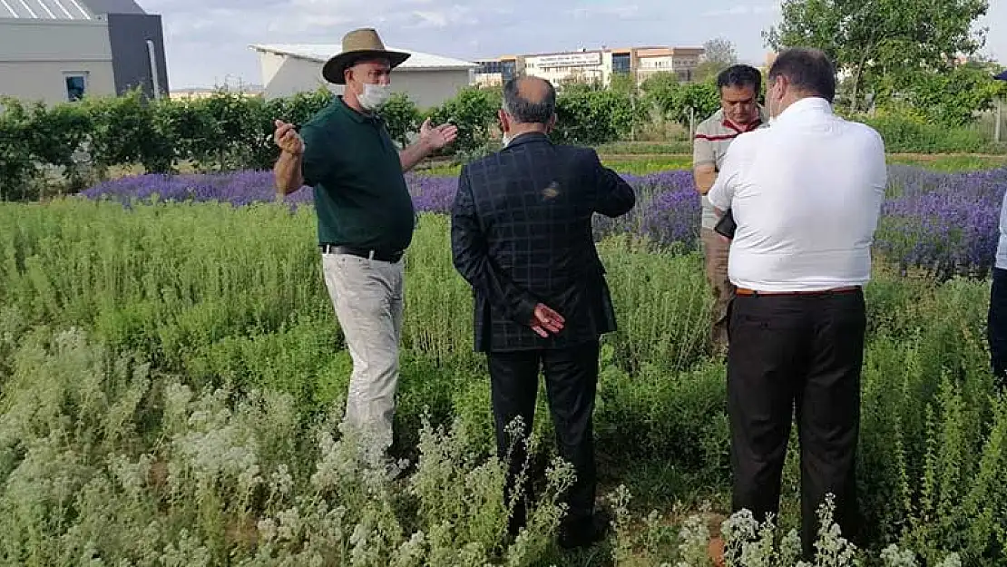 Konya Beyşehir Belediye Başkanı: Beyşehir alternatif tarımda önde olacak