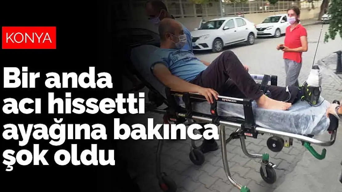 Konya'da bahçede dolaşırken acı hissetti ayağına bakınca şok oldu