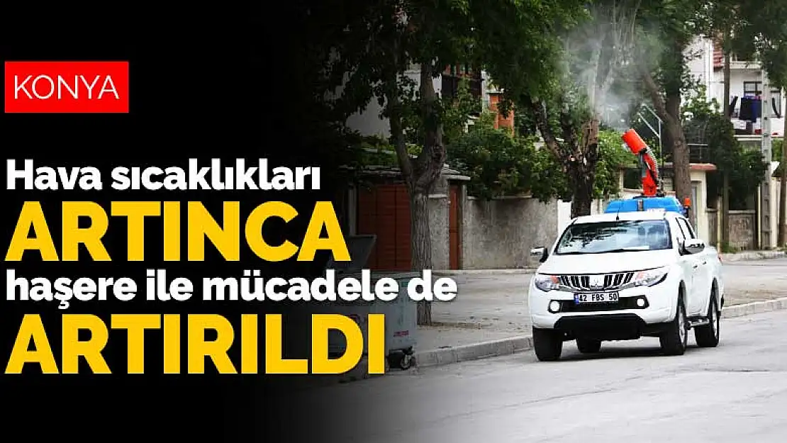 Konya'da hava sıcaklıkları artınca haşere mücadelesi de artırıldı