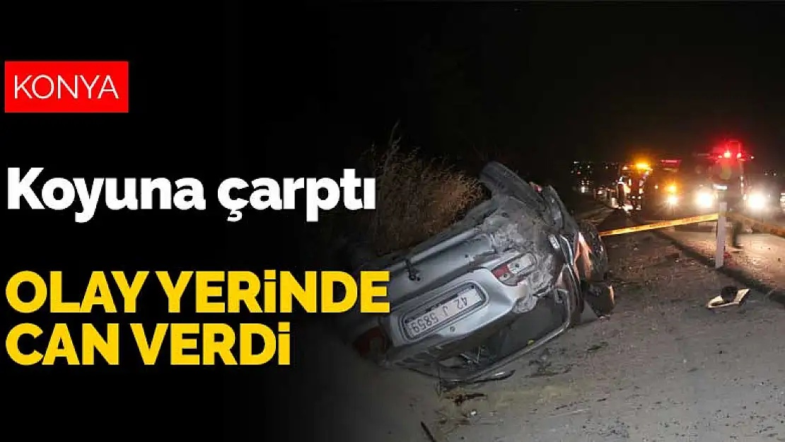 Karaman-Konya Karayolunda koyuna çarpan otomobilin sürücüsü olay yerinde can verdi