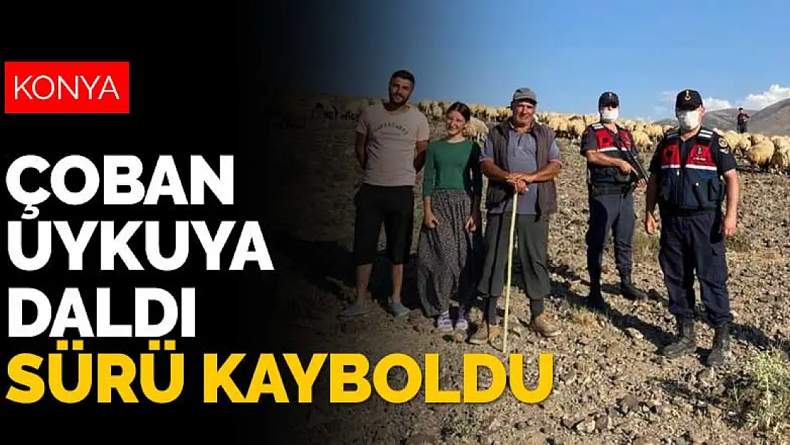 Konya'da uyuyakalan çobanın 300 koyunluk sürüsü kayboldu devreye jandarma girdi