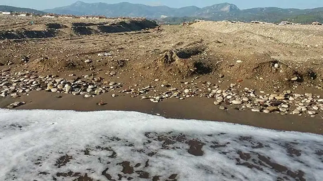 Antalya'da belediyeye ait iş makinesi koruma altındaki kaplumbağa yuvalarını talan etti