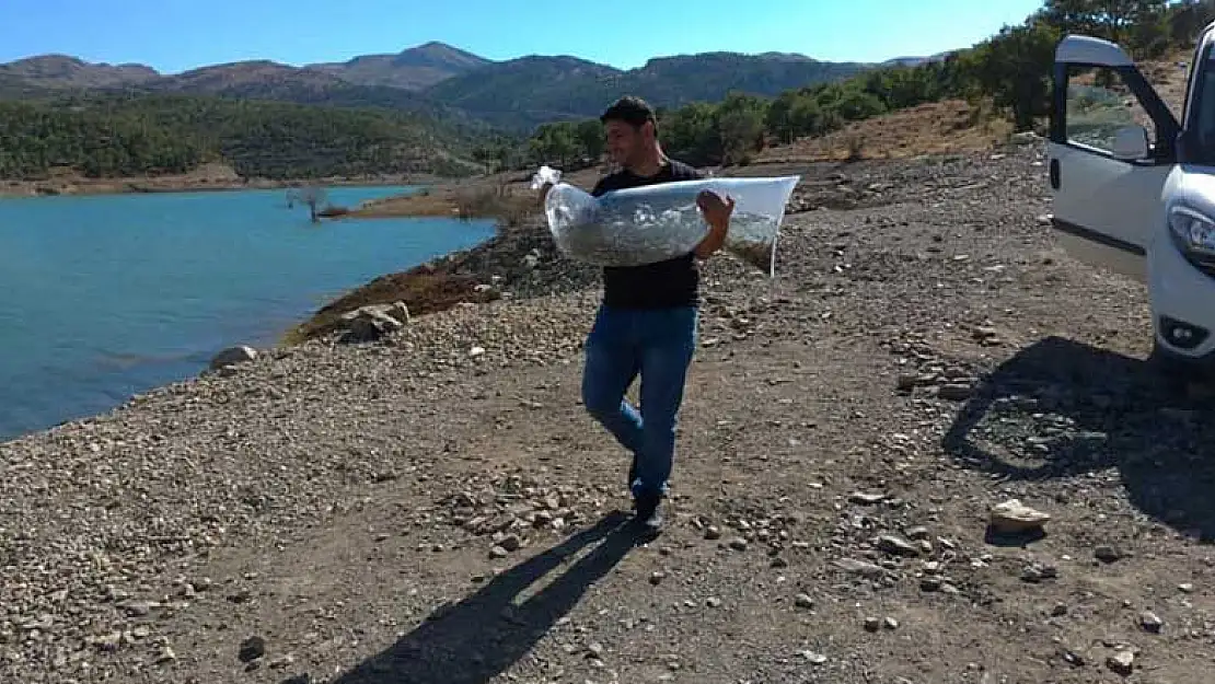 Konya'da Çağlayan Göleti'ne 5 bin yavru sazan bırakıldı