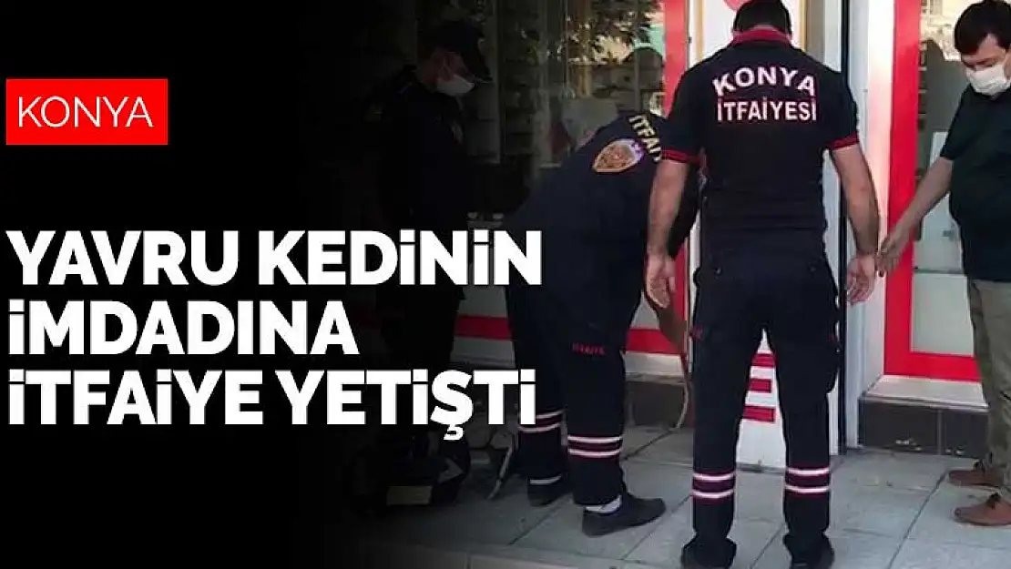 Konya'da tabela arkasındaki boşluğa düşen kediyi itfaiye kurtardı