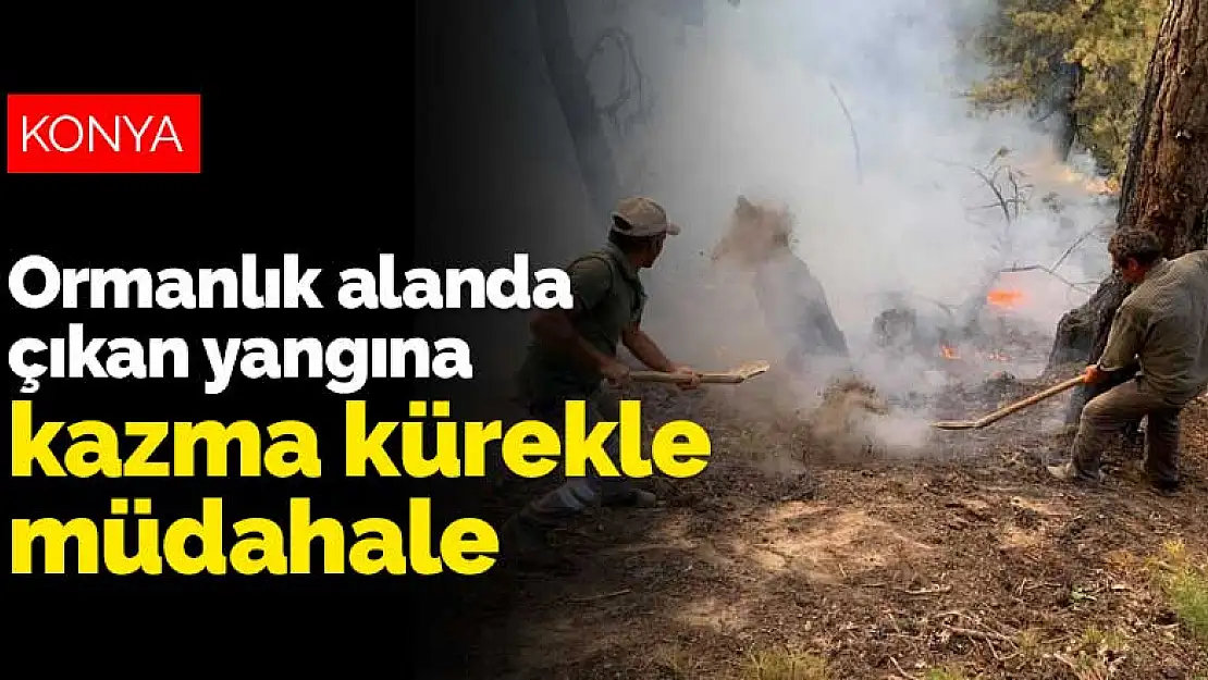 Konya'da ormanlık alanda çıkan yangına kazma kürekle müdahale