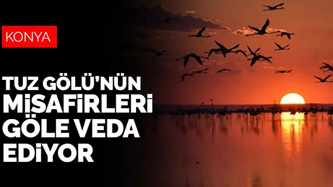 Tuz Gölü'nün misafirleri göle veda ediyor