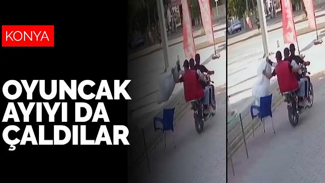 Konya'da reklam için bırakılan oyuncak ayıyı da çaldılar