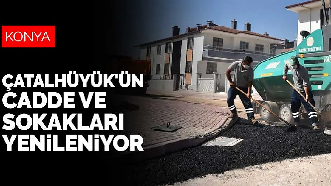 Çatalhüyük'ün cadde ve sokakları yenileniyor