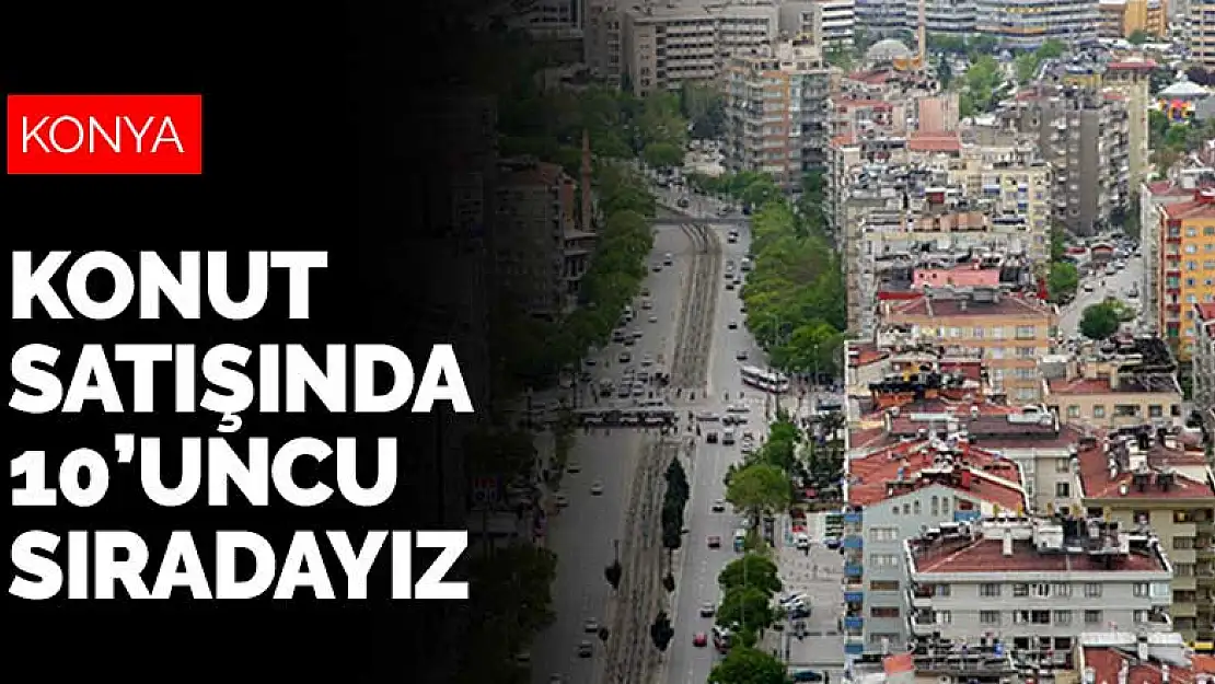 Konya konut satışında 10'uncu sırada