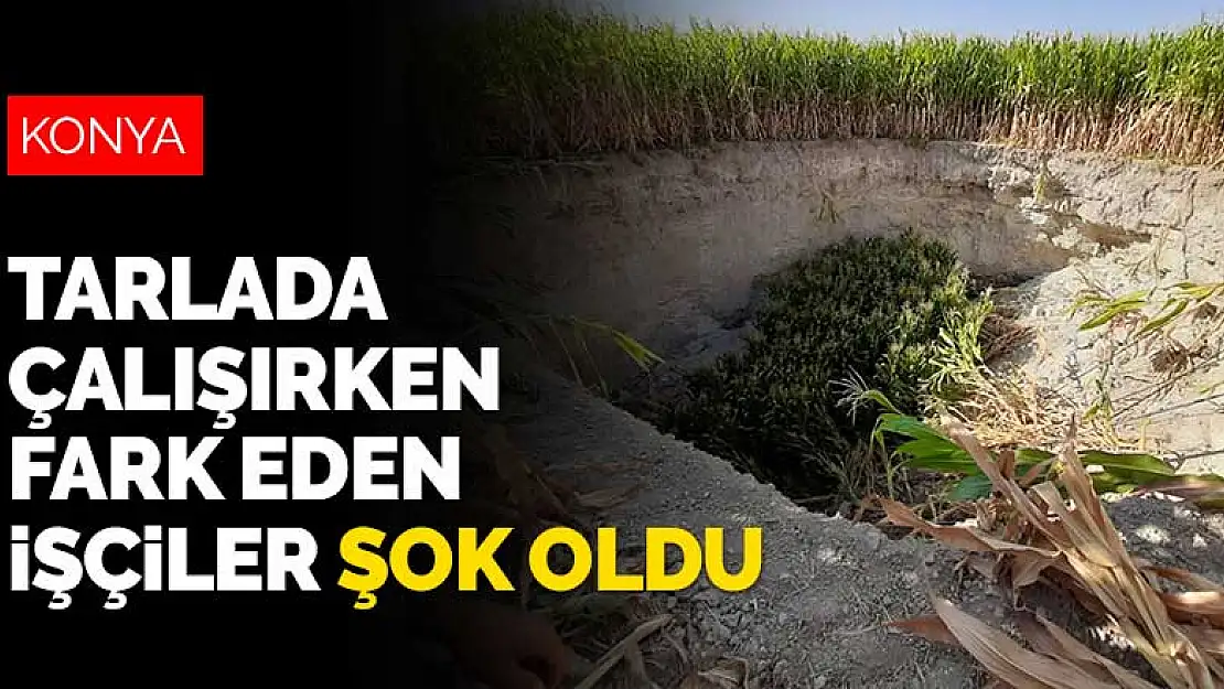 Konya'da yeni obruk! Tarlada çalışırken fark eden işçiler şok oldu