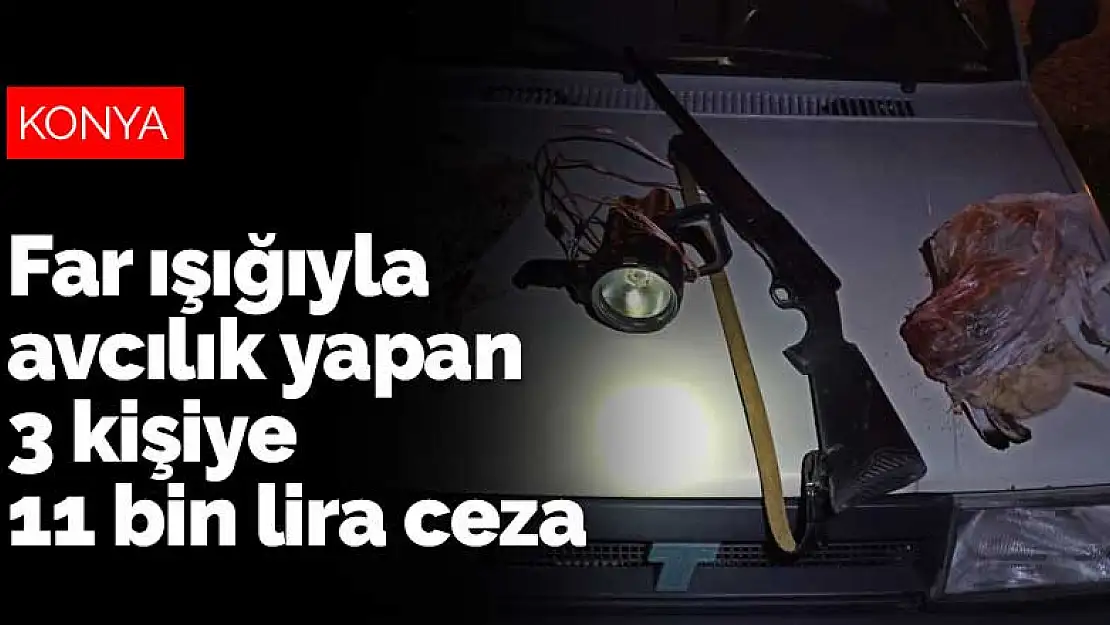 Konya Meram'da far ışığıyla avcılık yapan 3 kişiye 11 bin lira ceza