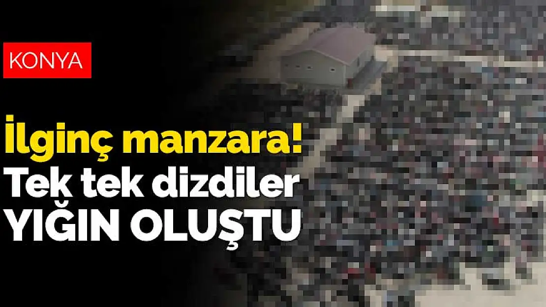 Konya'da ilginç manzara! Tek tek dizdiler yığın oluştu