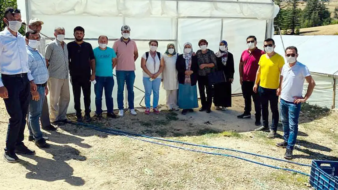 Konya'nın Bozkır ilçesinde çiftçiler seralarda incelemelerde bulundu