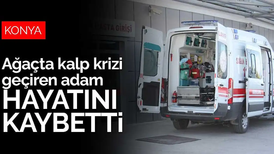 Konya'da ceviz ağacında kalp krizi geçiren adam hayatını kaybetti