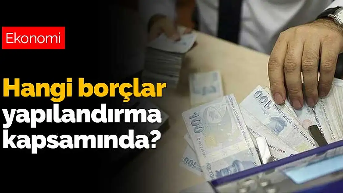 Toplumun geniş bir kesimini yakından ilgilendiriyor! Hangi borçlar yapılandırma kapsamında?