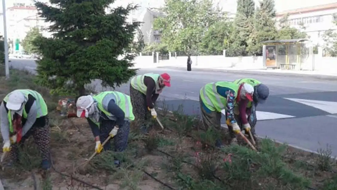 Konya Seydişehir'de sonbahar temizliği